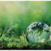 How Nigeria Can Become Green Industrial Powerhouse