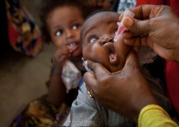 Stakeholders Decry Maternal Mortality, Apathy To Immunisation In Northeast