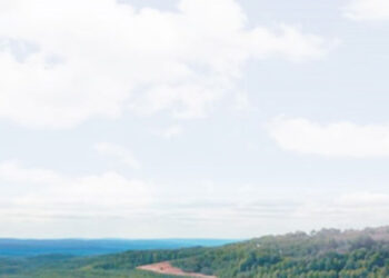 LEADERSHIP: Leading Africa out of Chaos.