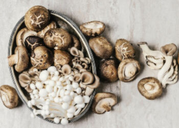 Seven Tips On Health Benefits Of Eating Mushrooms