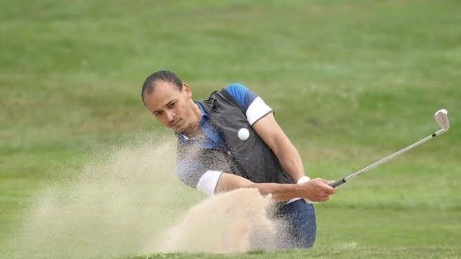 Odemwingie