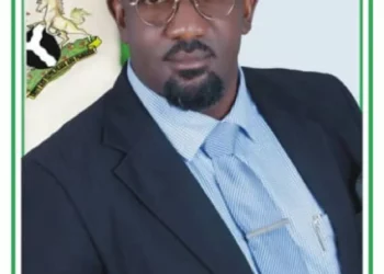 Governors Can Pay N62,000 Minimum Wage, Says Onoh