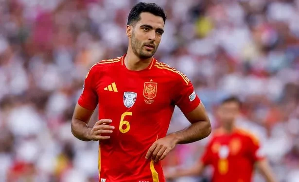 Merino