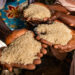 291m Africans Risk Chronic Malnutrition By 2030 — UN Report