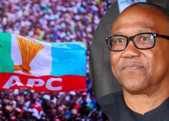 APC Faults Obi’s Latest Comments On Economy