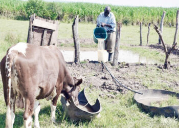 Experts Harp On Innovative Strategies To Boost Livestock Proteins