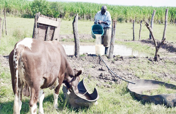 Experts Harp On Innovative Strategies To Boost Livestock Proteins 1 Abuja Livestock Farmers