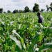 Defence, Works, Agric Top N35.05trn Amended Budget