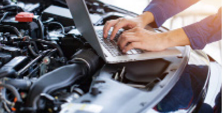 local automotive