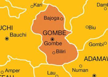 Gombe Tops FG’s Climate Governance Performance Ranking