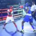 Promoter Unveils 12 Clubs For Yucateco Boxing League