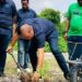 Environmental Preservation: Continental Re Partners NCF To Plant 2,000 Trees 4 Environmental Preservation: Continental Re Partners NCF To Plant 2,000 Trees