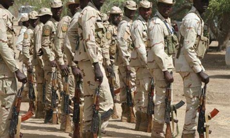 Chadian Forces, Not MNJTF Killed 70 Terrorists — Official 1 IMG 20240702 WA0153