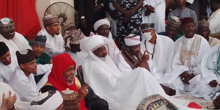 Bayero