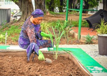 PICTORIAL: First Lady Remi Tinubu Plants Vegetable Garden To Encourage Women Farmers