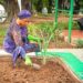PICTORIAL: First Lady Remi Tinubu Plants Vegetable Garden To Encourage Women Farmers 5 PICTORIAL: First Lady Remi Tinubu Plants Vegetable Garden To Encourage Women Farmers