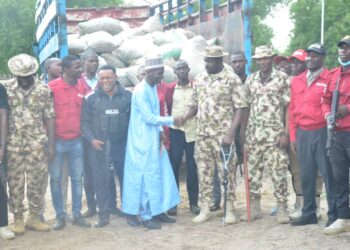Troops, NDLEA Seize Boko Haram-bound Illicit Drugs In Borno