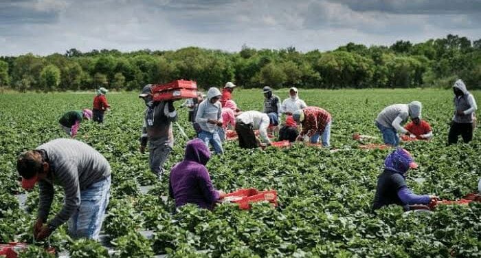 Food Security