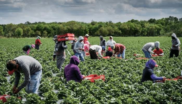 Agriculture: Bridging The Funding Gap, Investing For Nigeria’s Food Security 1 IMG 20240731 WA0024