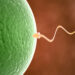 Experts Decry Prevalence Of Infertility In Nigeria