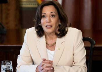 US Elections: Party Leaders Rally Round Kamala Harris To Replace Biden