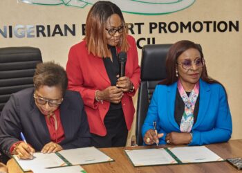 NEPC Partners Lelook Academy To Boost Export, Empower Artisans