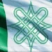 NEF Condemns Eviction Order On Northerners In Delta