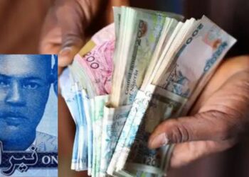 Court Dismisses Suit Against Arabic Inscriptions On Naira Notes