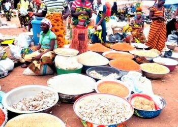 FG Intensifies Efforts On Biotechnology To Boost Food Security