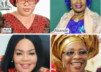 Nigerian Women Who Served In Top Elective Positions