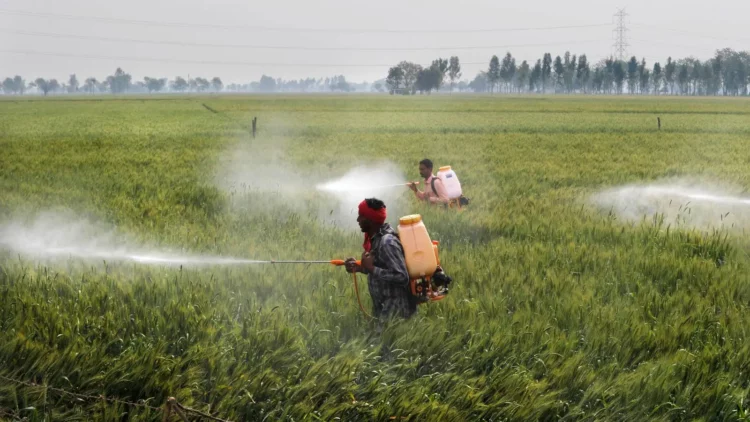 Hazardous Pesticides