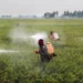 Coma, Brain Damage, Others Linked To Hazardous Pesticides, Insecticides