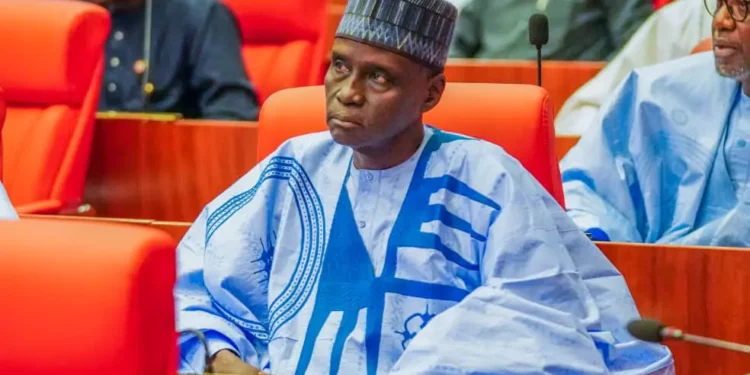 Ndume