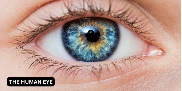 World Sight Day