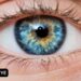 FG To Address Vision Impairment, Child Blindness 5 Medical Expert Calls For Periodic Eye Check-up