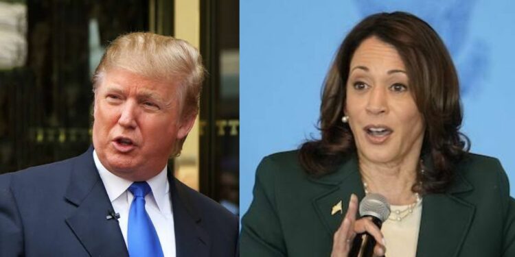 Donald Trump, Kamala Harris