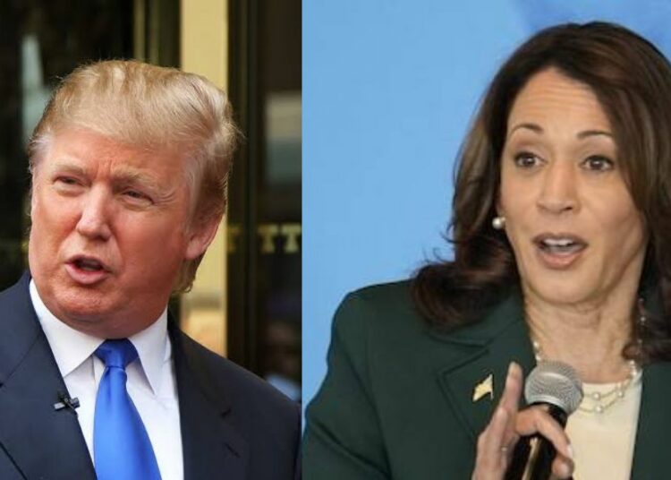 Donald Trump, Kamala Harris