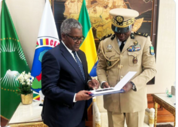Gabonese Govt Invites Dangote To Invest In Country’s Cement, Fertiliser Production