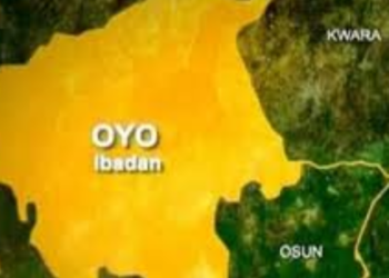 5-yr-old Girl Dies After Dog Bite In Oyo