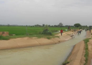 Kano Desilts 22 Dams For Dry Season Farming