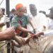 Federal Gov’t Launches Anti-cattle Rustling Initiative In Kwara 5 Federal Gov’t Launches Anti-cattle Rustling Initiative In Kwara