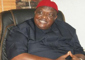 ‘We Lost A Gem,’ Ohanaeze Ndigbo Mourns Iwuanyanwu