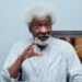 Soyinka @ 90: Ojudu Urges Youths To Lead Advocacy For Better Nigeria