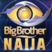 BBNaija 9: First Head Of House To Emerge Via Ballot — Big Brother