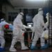 India Raises Alarm As 14-yr-old Dies From Nipah Virus 5 India Raises Alarm As 14-yr-old Dies From Nipah Virus