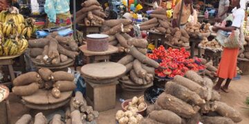 serap Duty-free Food Policy: Nigerians Hope For Reduced Food Prices