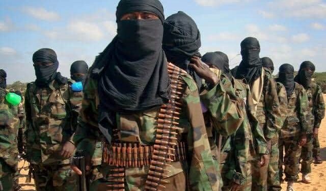 Terrorists
