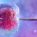 The Bridge Clinic Series: Managing Patient’s Expectation In IVF Treatment