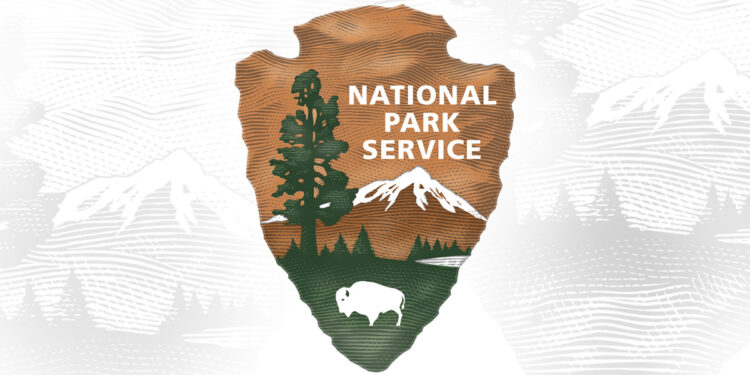NPS