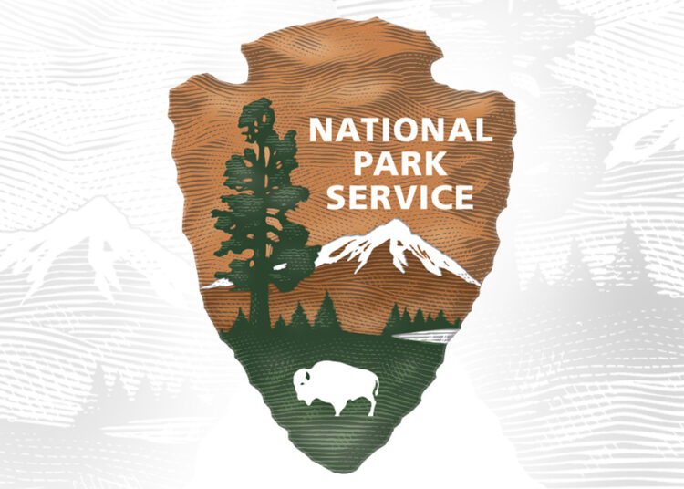 NPS